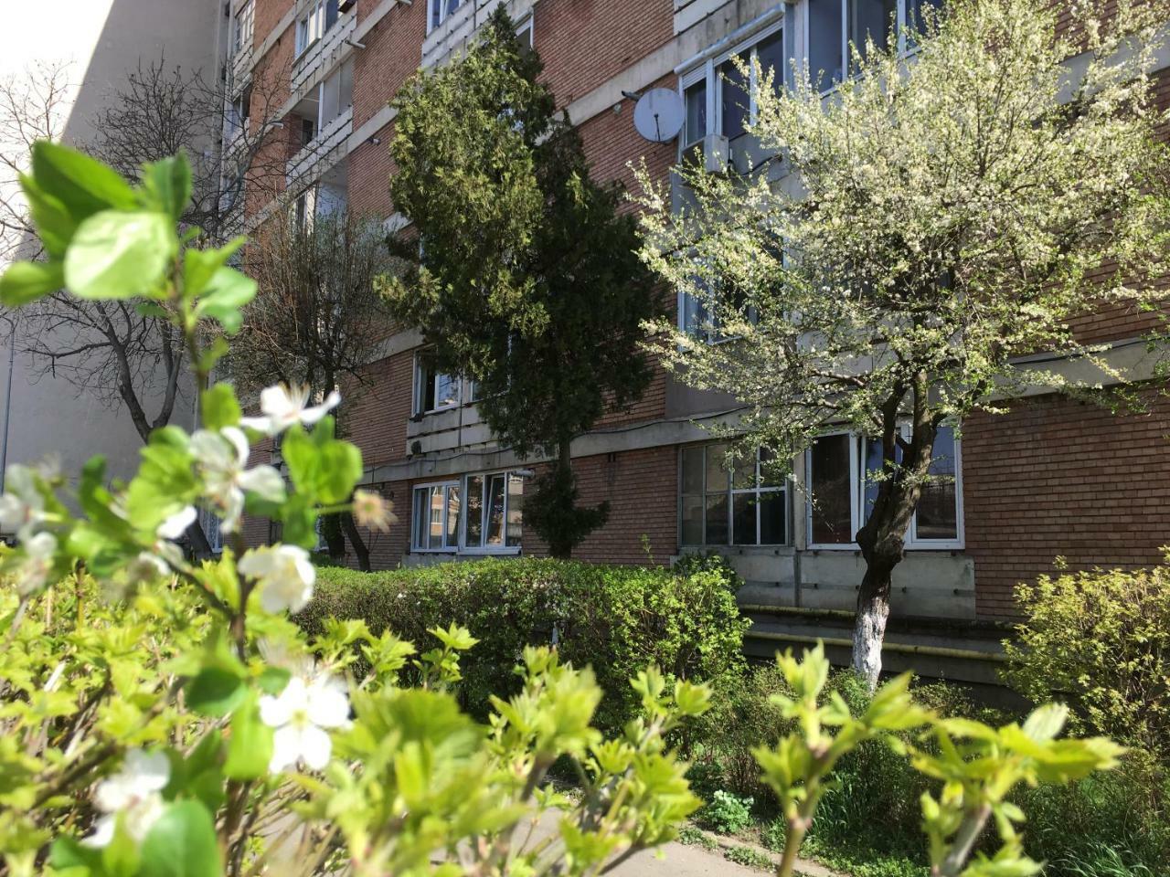 Apartament Dacia Targu Mures Exterior photo
